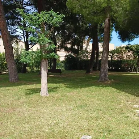 דירה A 300 M De La Plage